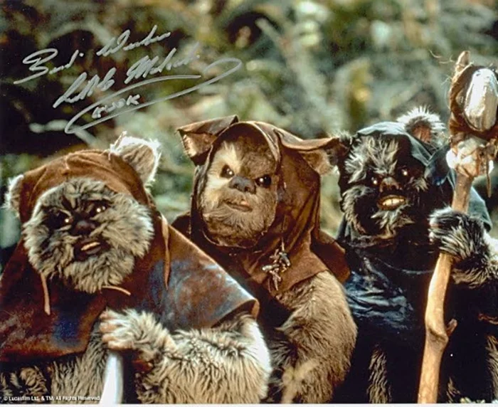 Malcolm Dixon autograph