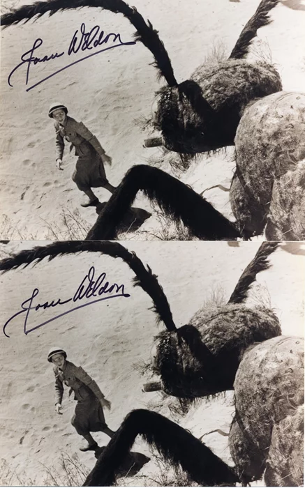 Joan Weldon autograph