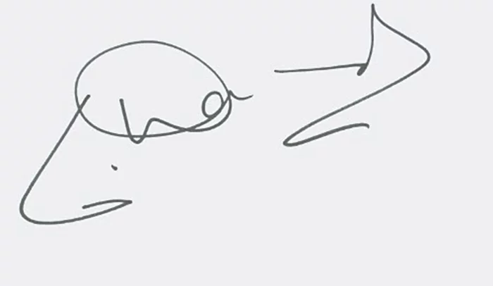 Lolita Davidovich autograph