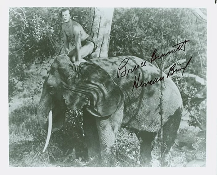 Bruce Bennett autograph