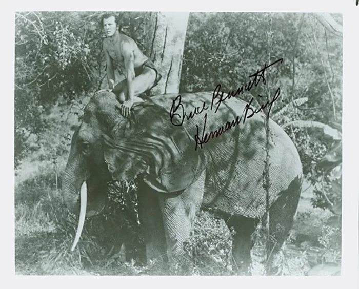 Bruce Bennett autograph