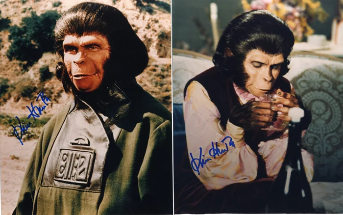 Kim Hunter autograph