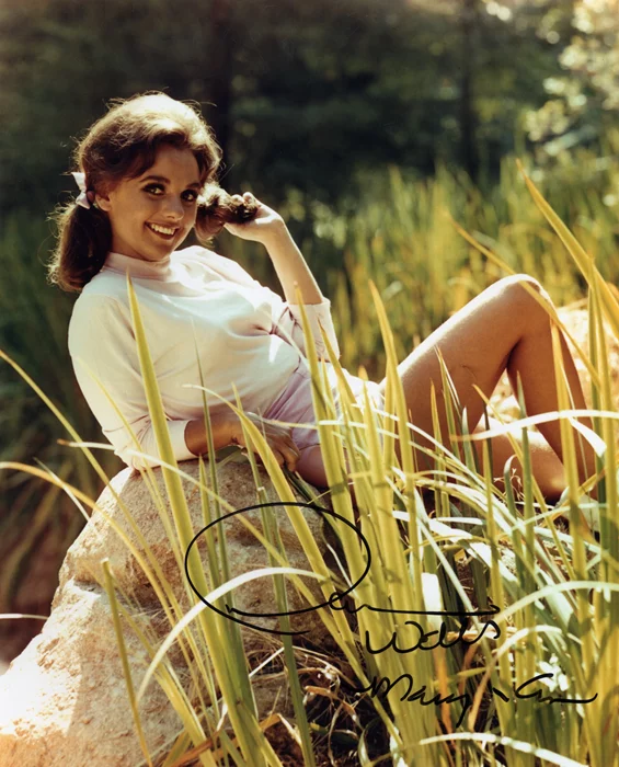 Dawn Wells autograph