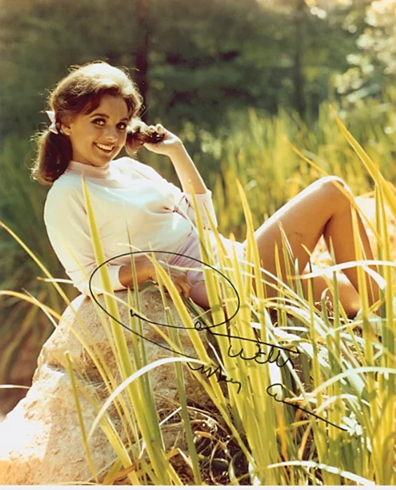 Dawn Wells autograph