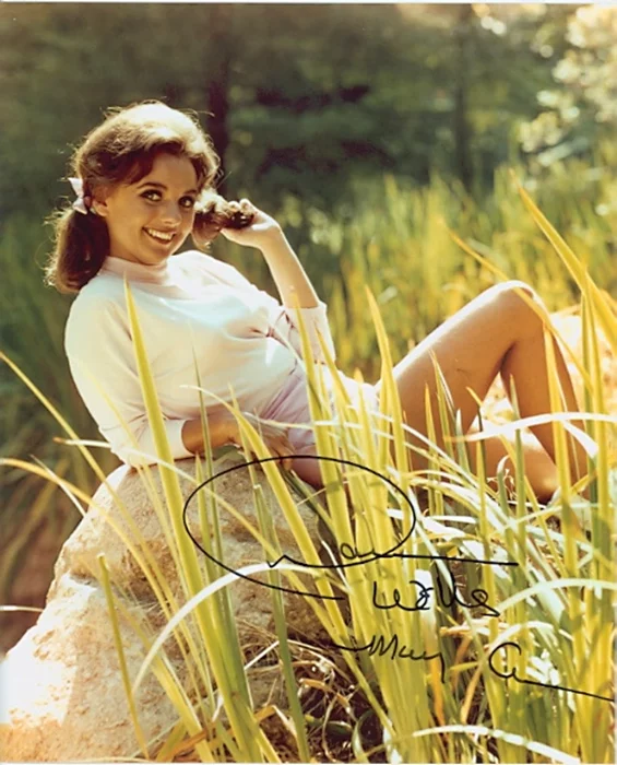 Dawn Wells autograph
