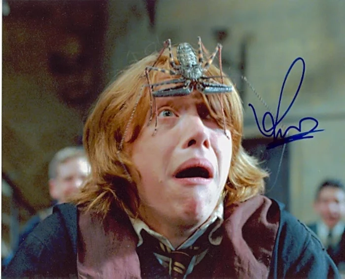 Rupert Grint autograph