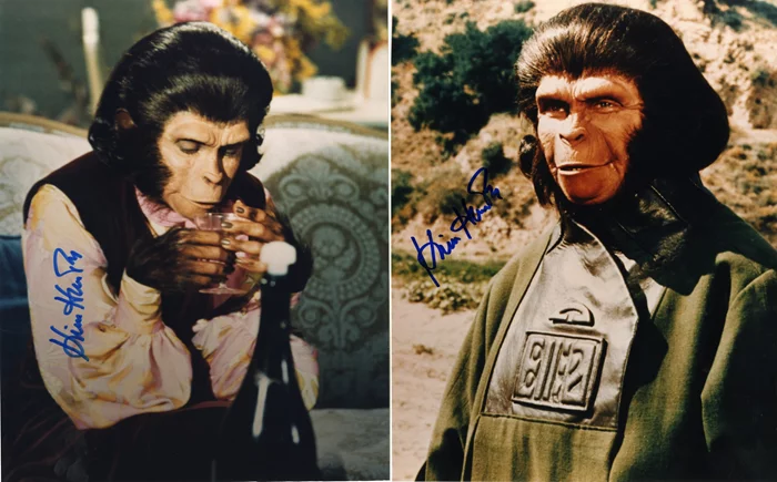 Kim Hunter autograph