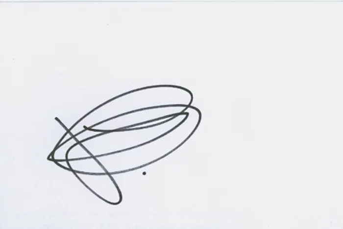 Adam Levine autograph