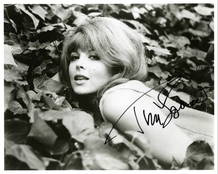 Tina Louise autograph