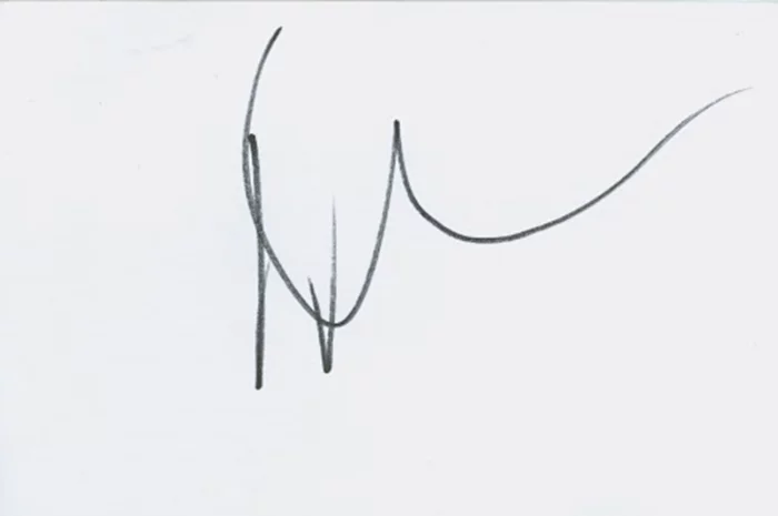 Dave Navarro autograph