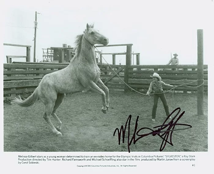 Melissa Gilbert autograph