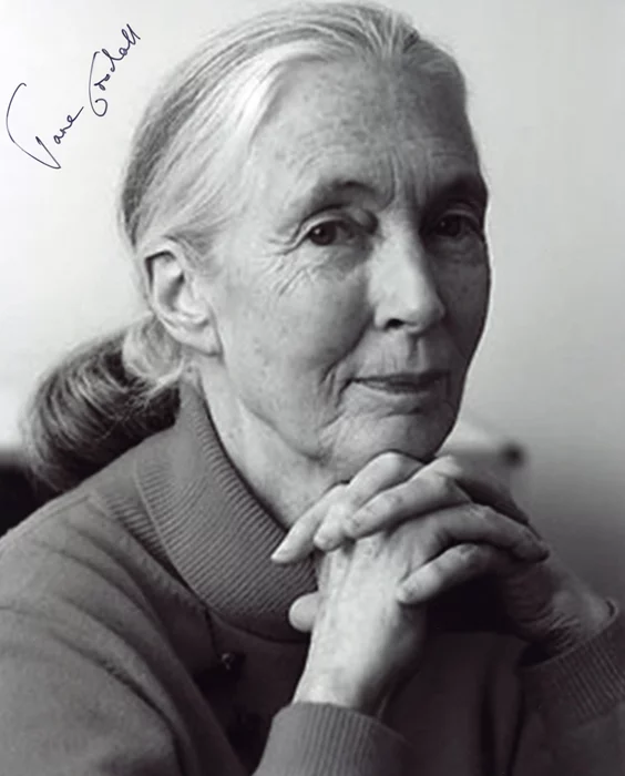 Jane Goodall autograph