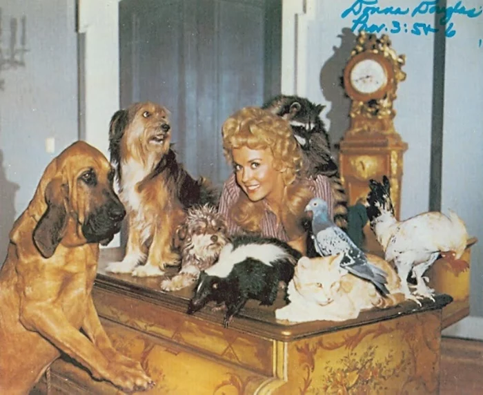 Donna Douglas autograph