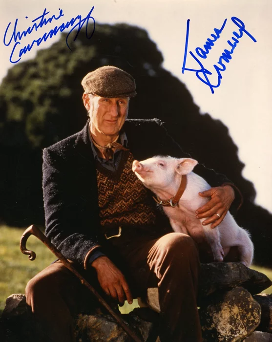 Babe autograph