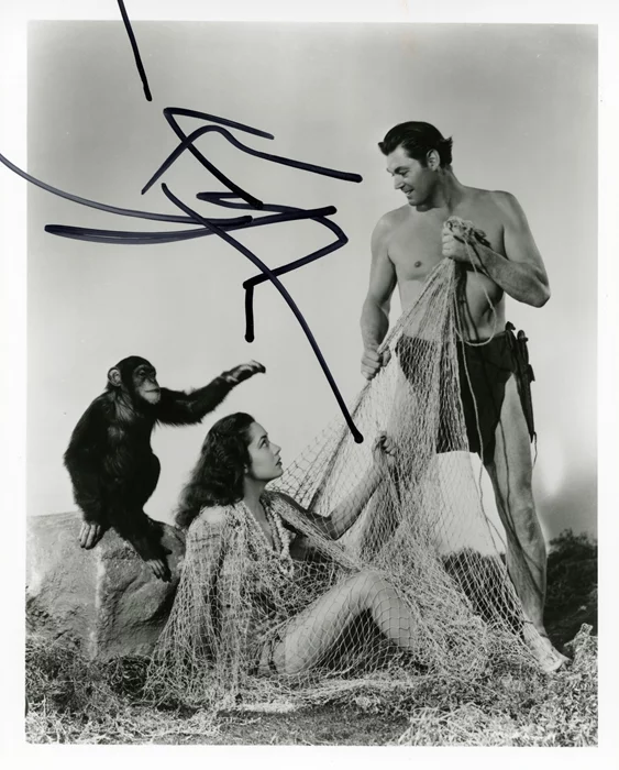 Cheetah autograph