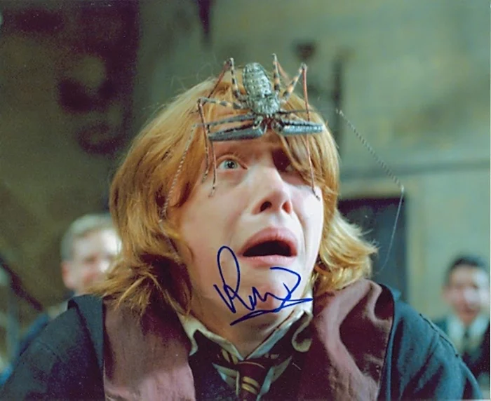 Rupert Grint autograph