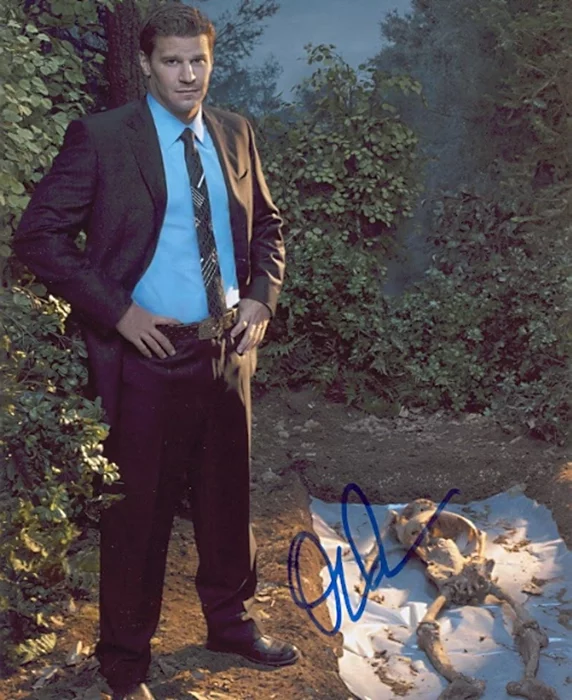 David Boreanaz autograph