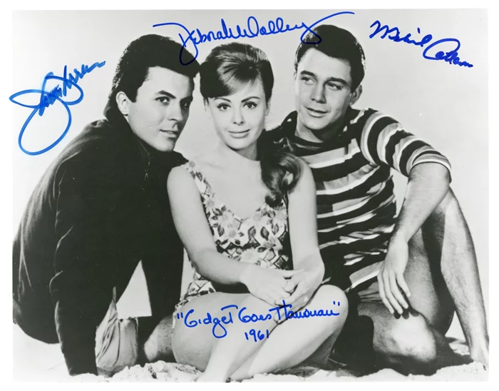 Gidget Goes Hawaiian autograph