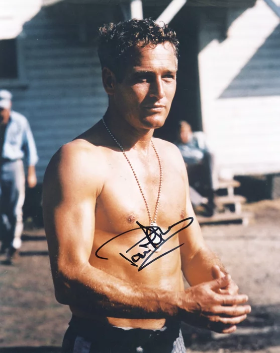 Paul Newman autograph