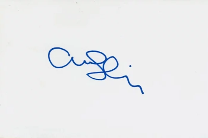 Amanda Seyfried autograph