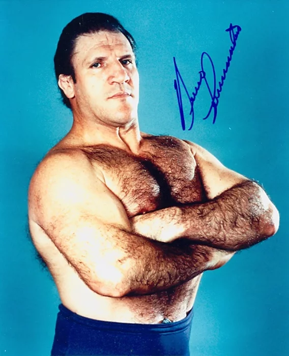 Bruno Sammartino autograph