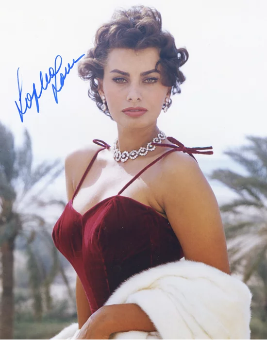 Sophia Loren autograph