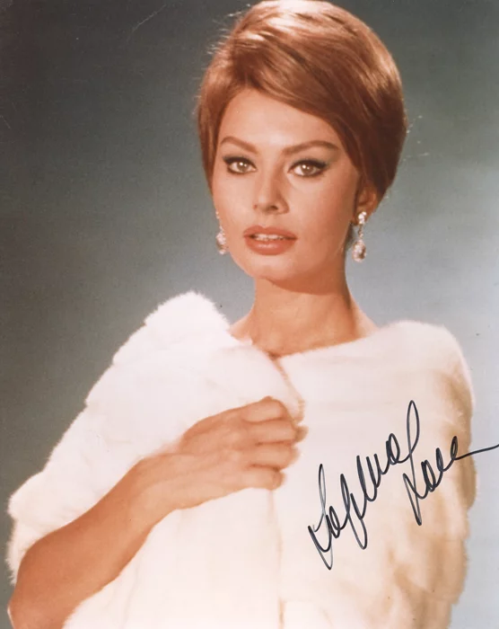 Sophia Loren autograph