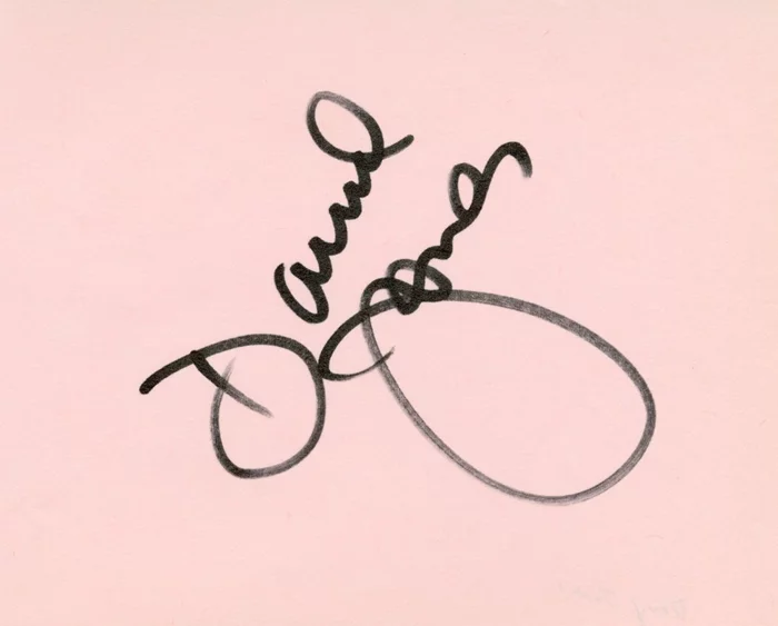 Davy Jones autograph
