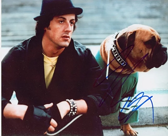 Sylvester Stallone autograph