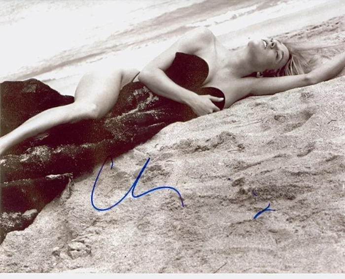 Chloe Sevigny autograph