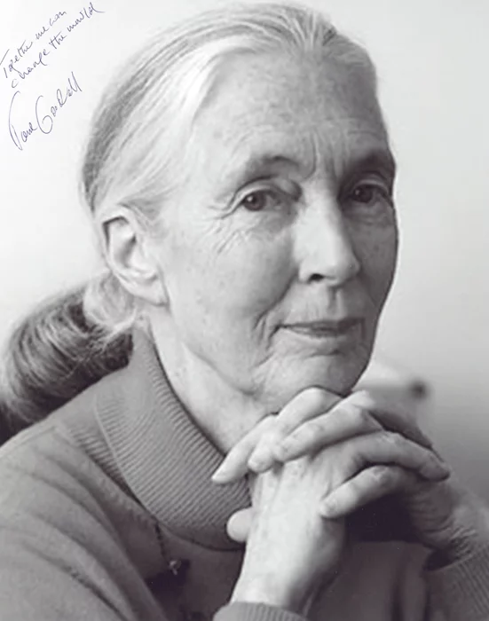 Jane Goodall autograph