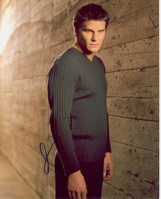 David Boreanaz autograph