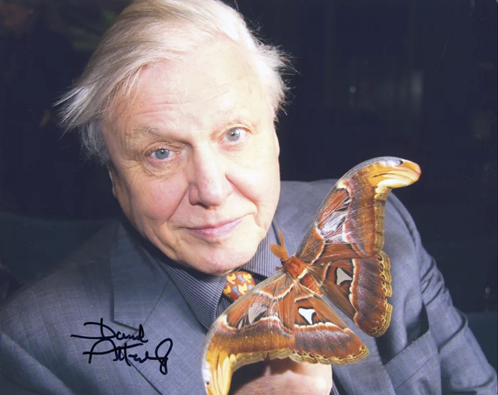 David Attenborough autograph