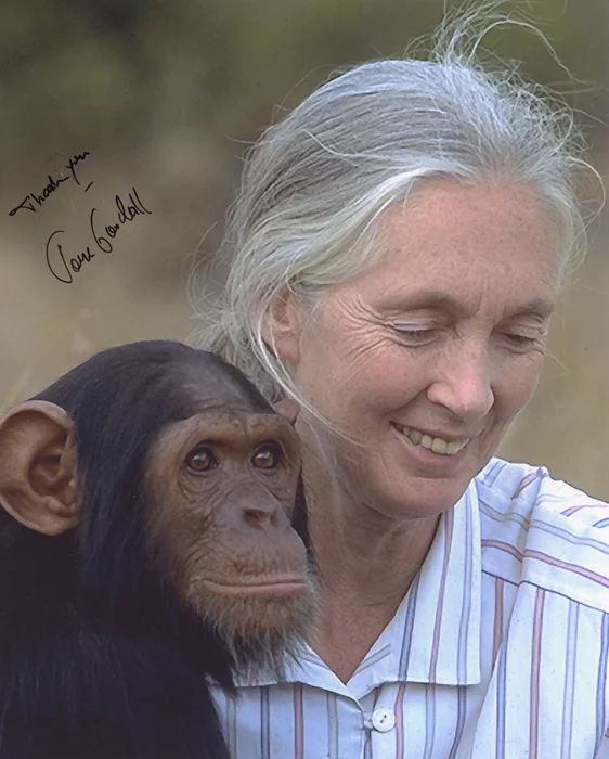Jane Goodall autograph