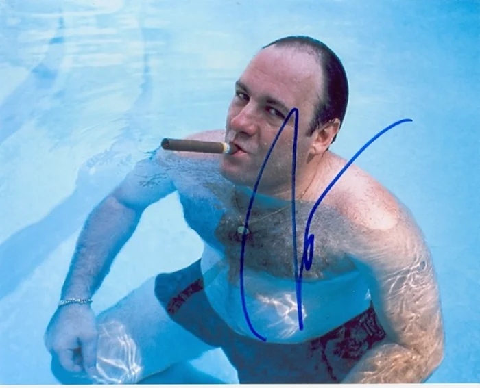 James Gandolfini autograph