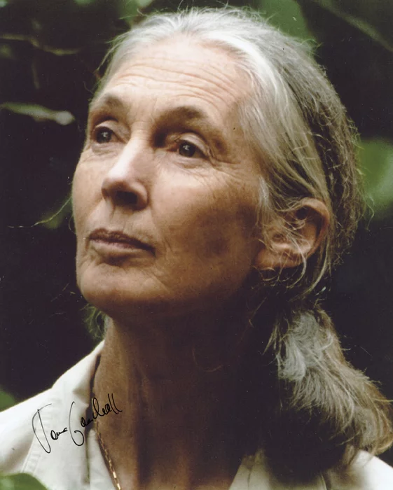 Jane Goodall autograph