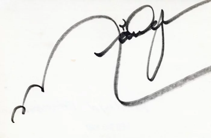 Marilyn Chambers autograph