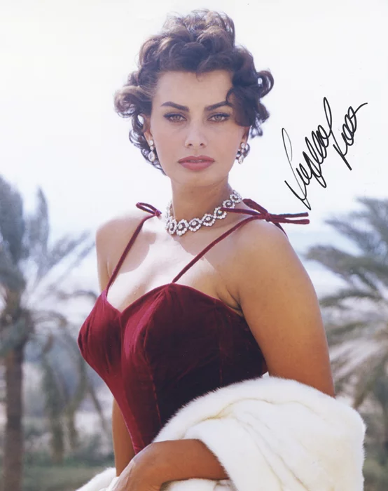 Sophia Loren autograph