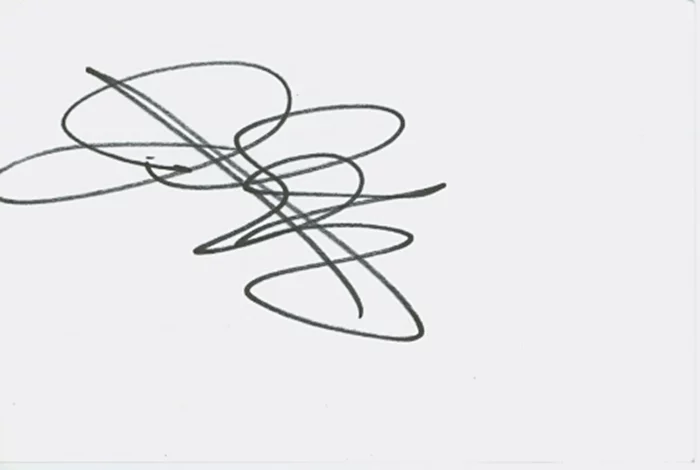 Jodi Lyn O'Keefe autograph