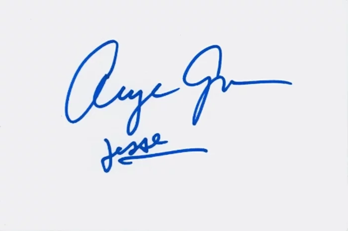 Arye Gross autograph