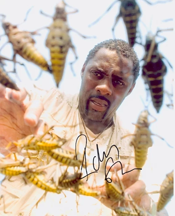 Idris Elba autograph
