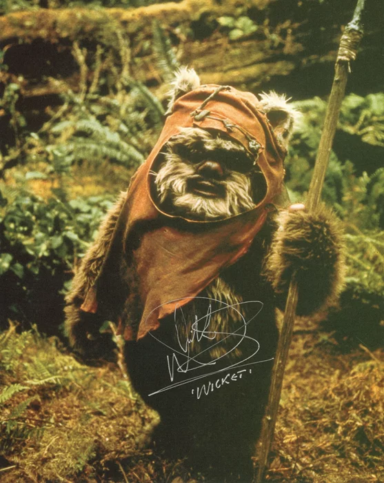 Warwick Davis autograph