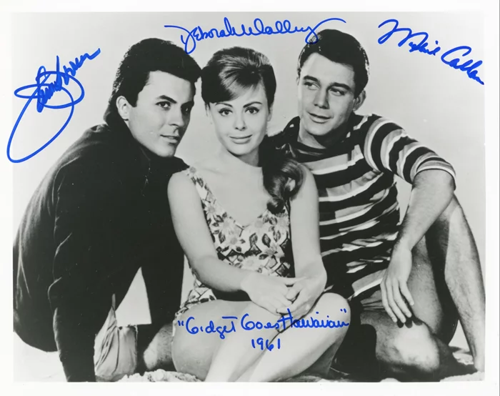 Gidget Goes Hawaiian autograph