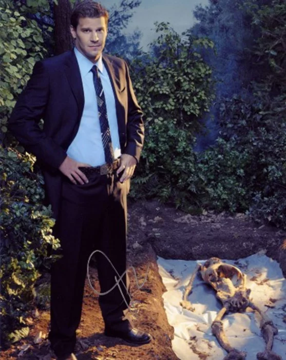 David Boreanaz autograph