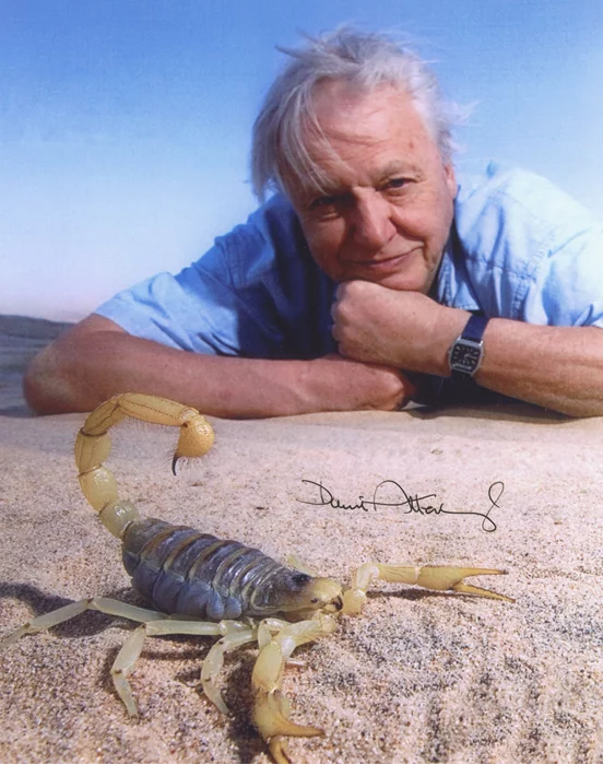 David Attenborough autograph