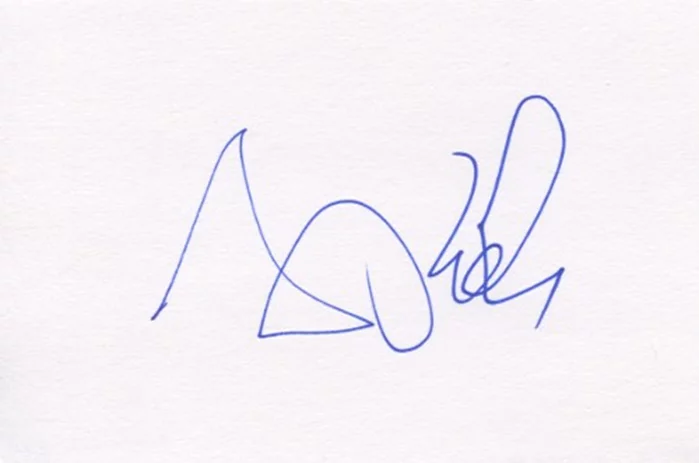 Amy Poehler autograph