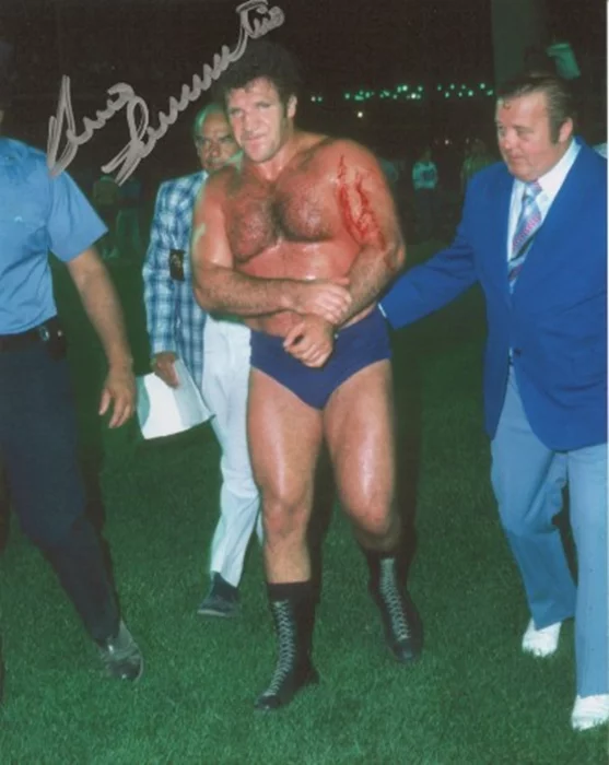 Bruno Sammartino autograph