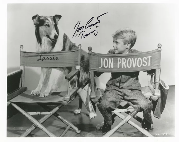 Jon Provost autograph