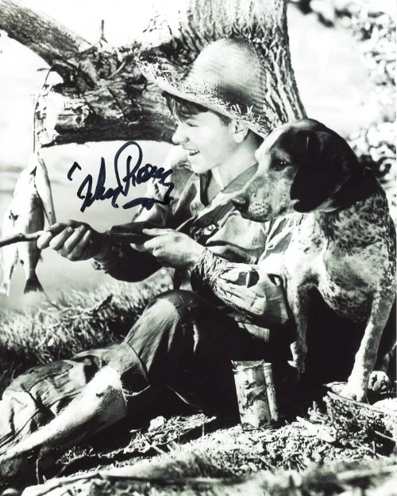Mickey Rooney autograph