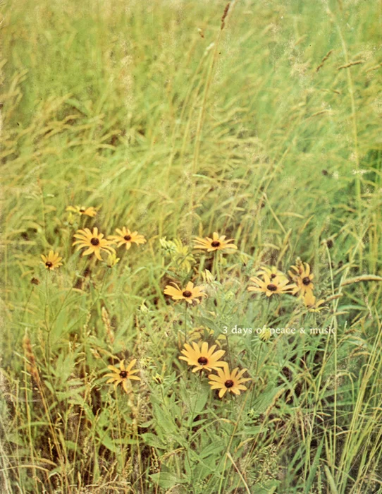 Woodstock autograph